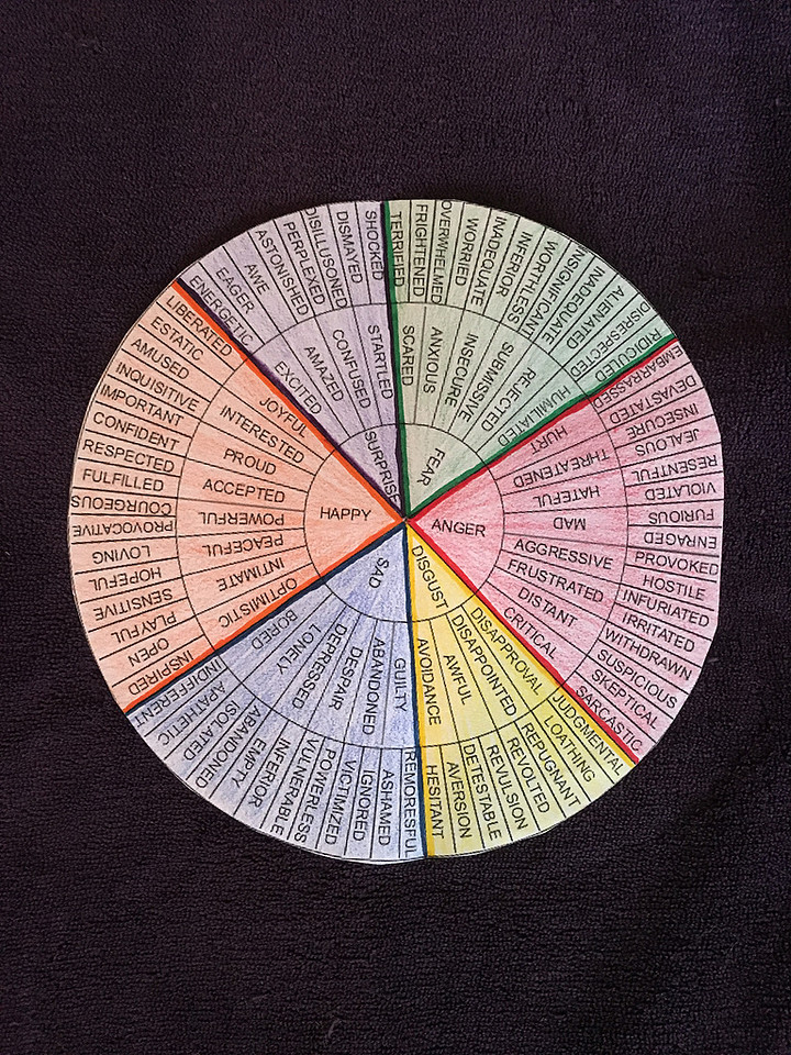 Michelle's rainbow wheel of emotions 