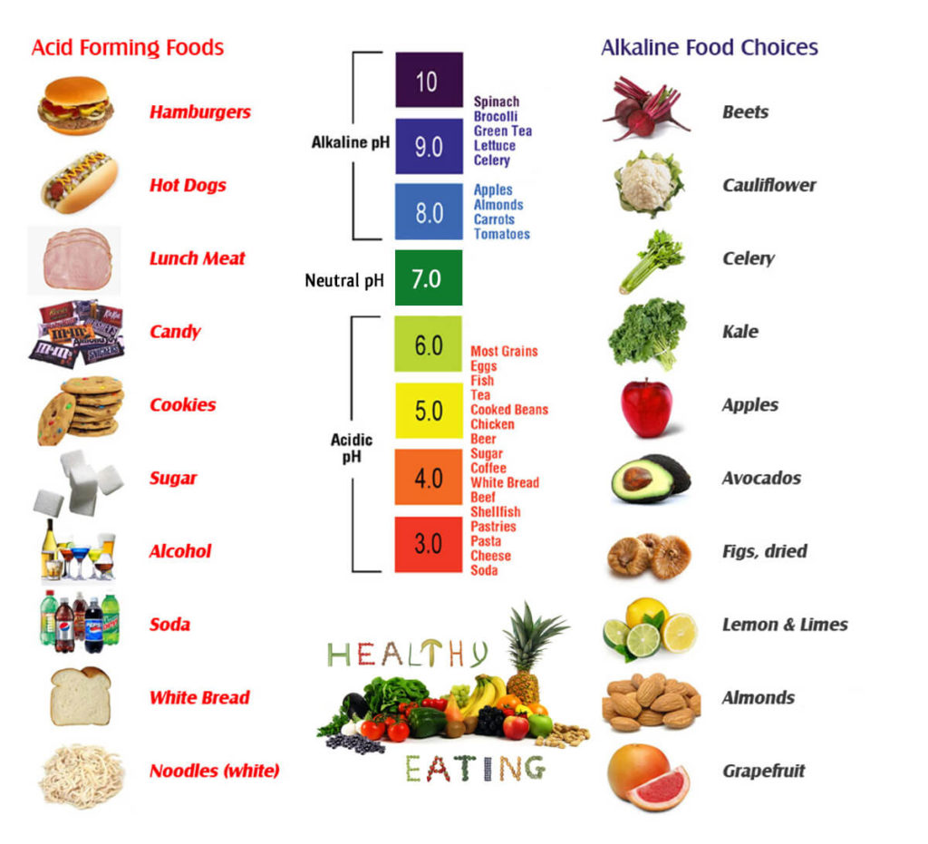 School of Natural Health and Science acidic food chart 
